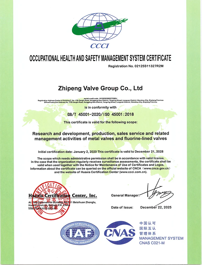 ISO Employee Health And Safety Certification EN