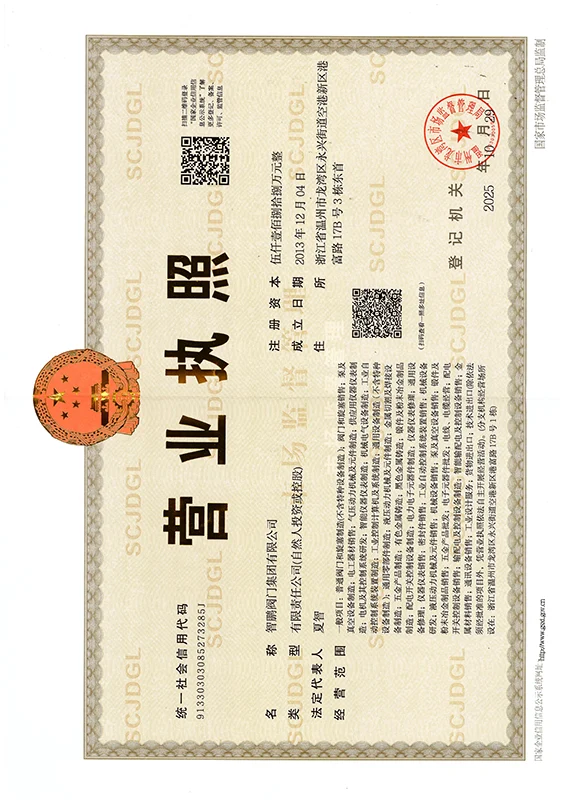 Business License